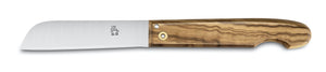 Galeam Pocket Knife - Stainless Steel